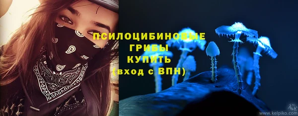 дурь Нея