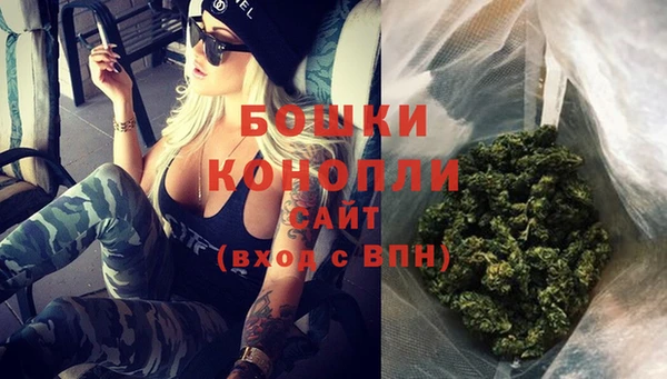 не бодяженный Новозыбков