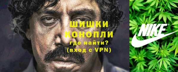 дмт Новодвинск