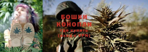 дмт Новодвинск