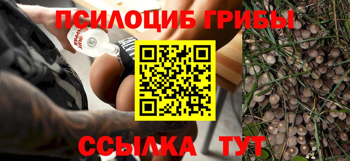 Плюхи  Кислота  Меф  МАРИХУАНА  МЕФ  Томск  Вход с VPN 