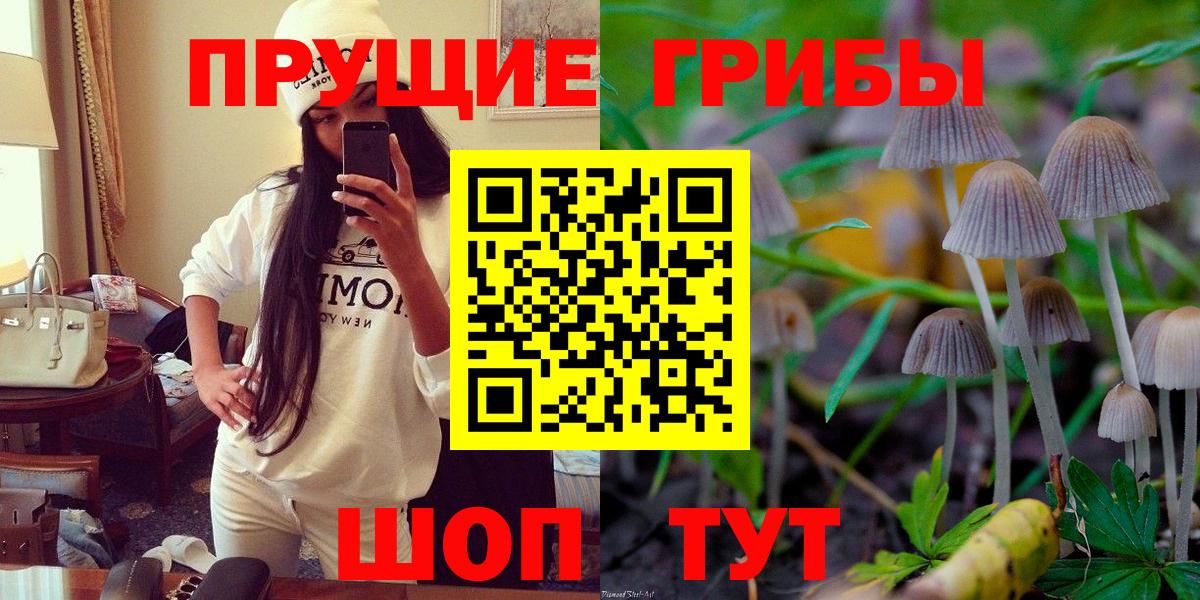 Псилоцибиновые грибы Magic Shrooms  Псилоцибиновые грибы MAGIC MUSHROOMS  Томск  что такое наркотик  Вход с VPN 