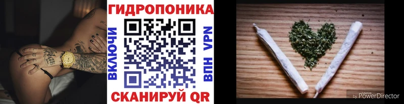Шишки марихуана OG Kush kraken рабочий сайт Томск